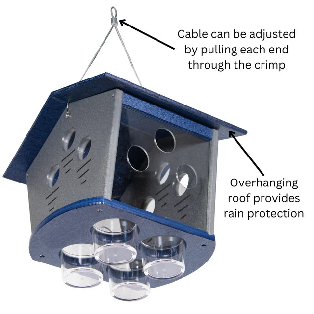 The 'Members Only Buffet' Ultimate Enclosed Bluebird Feeder | JCS Wildlife Recycled Poly-Lumber Bluebird Mealworm Feeder