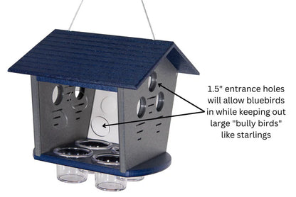 The 'Members Only Buffet' Ultimate Enclosed Bluebird Feeder | JCS Wildlife Recycled Poly-Lumber Bluebird Mealworm Feeder