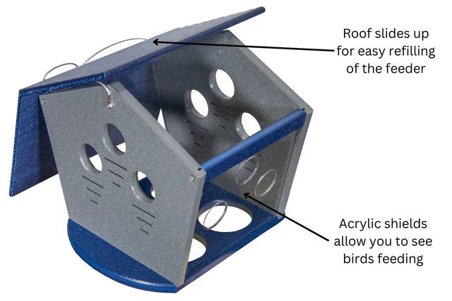 The 'Members Only Buffet' Ultimate Enclosed Bluebird Feeder | JCS Wildlife Recycled Poly-Lumber Bluebird Mealworm Feeder